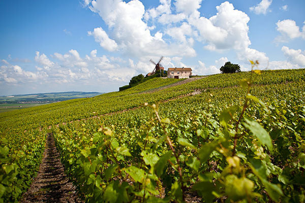 法国勃艮第和香槟产区成功列入世界遗产名录